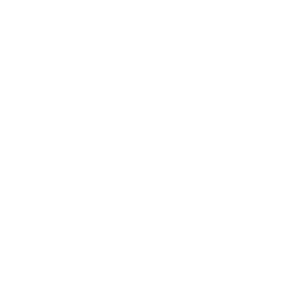 LOITA-logo-white